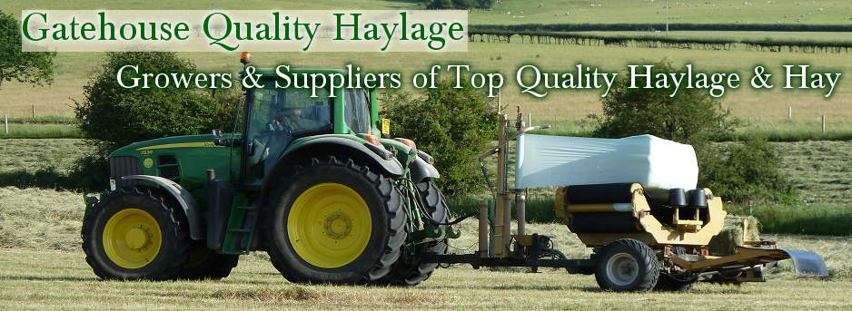 Haylage Isle of Wight