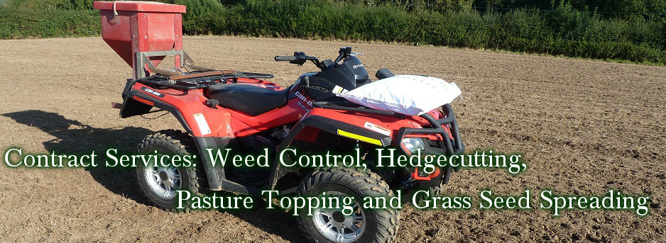 Haylage Isle of Wight